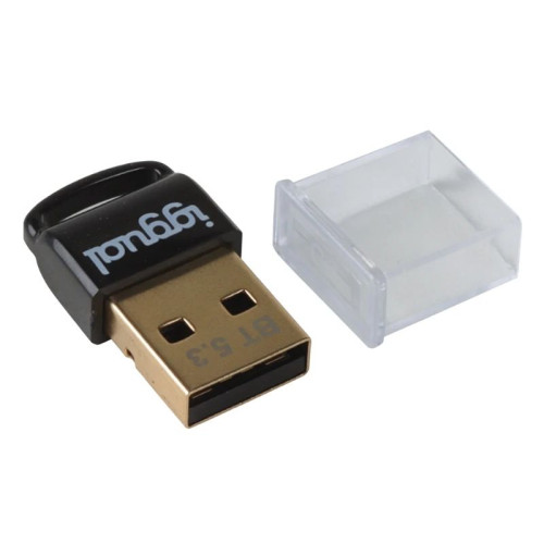iggual IGG319383 placa adaptador de interface Interno Bluetooth