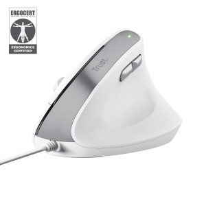 Trust Bayo II rato Escritório Mão direita USB Type-A Ótico 2400 DPI