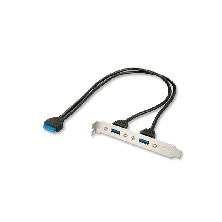 Lindy 33096 Cabo USB Interno