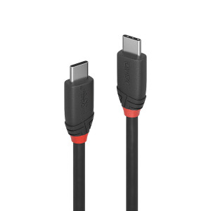 Lindy 36905 cabo USB USB 3.2 Gen 1 (3.1 Gen 1) 0,5 m USB C Preto