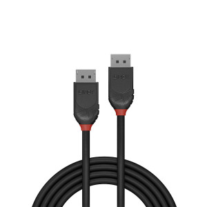 Lindy 36493 cabo DisplayPort 3 m Preto 2