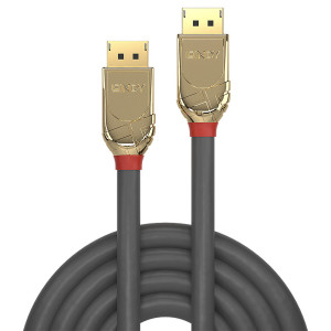 Lindy 36298 cabo DisplayPort 20 m Cinzento 2