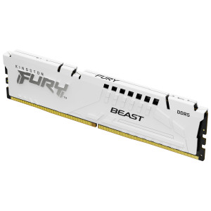 Kingston Technology FURY Beast módulo de memória 16 GB 1 x 16 GB DDR5 5600 MT s