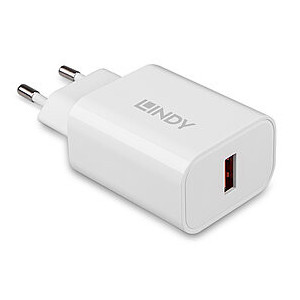 Lindy 73412 carregador de dispositivos móveis Smartphone, Tablet Branco AC Carregamento rápido Interior, Exterior