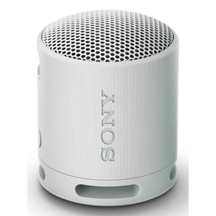 Sony SRS-XB100 Coluna portátil mono Cinzento
