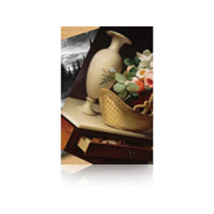 Epson Premium Luster Photo Paper, 60 pol. x 30,5 m, 260g m²