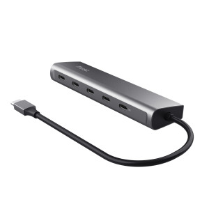 Trust Halyx USB 3.2 Gen 1 (3.1 Gen 1) Type-C Prateado 2