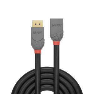 Lindy 36496 cabo DisplayPort 1 m Preto 2