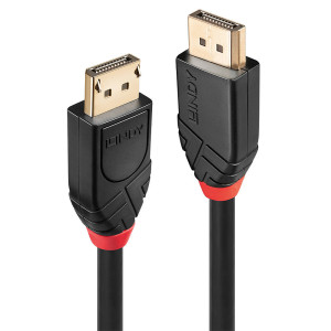 Lindy 41079 cabo DisplayPort 15 m Preto