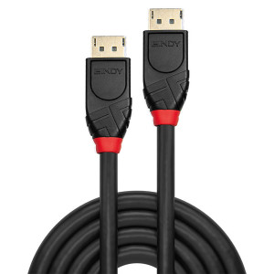 Lindy 41079 cabo DisplayPort 15 m Preto 2