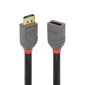 Lindy 36495 cabo DisplayPort 0,5 m Preto