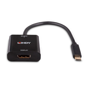 Lindy 43269 adaptador gráfico USB 3840 x 2160 pixels Preto 2