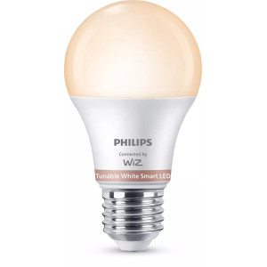 Philips Lâmpada de 60 W A60 E27