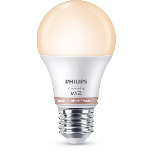 Philips Lâmpada de 60 W A60 E27