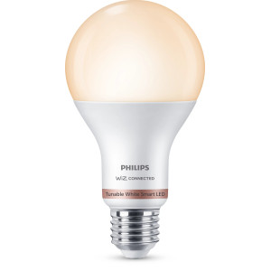 Philips Lâmpada de 13 W (Eq. 100 W) A67 E27