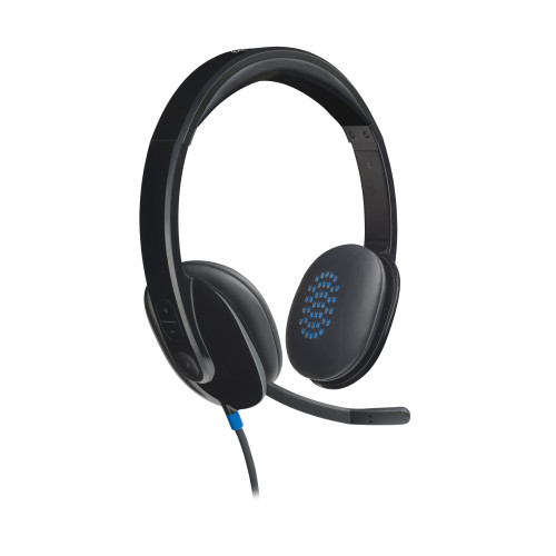 Logitech H540 Auscultadores Com fios Fita de cabeça Escritório Call center USB Type-A Preto