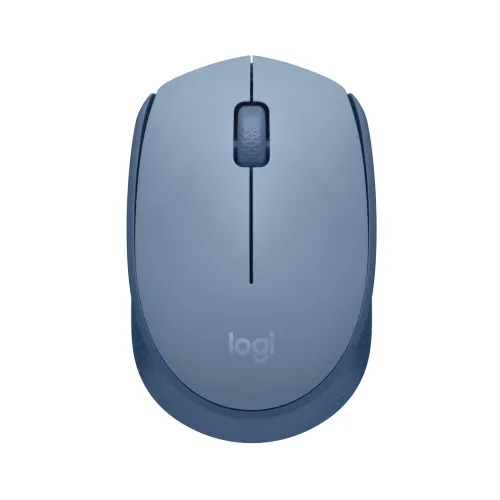 Logitech M171